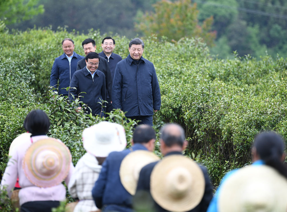 2020年4月21日，習(xí)近平來到陜西省安康市平利縣老縣鎮(zhèn)，在茶園考察脫貧攻堅情況。新華社記者 燕雁 攝